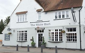 White Hart By Chef & Brewer Collection